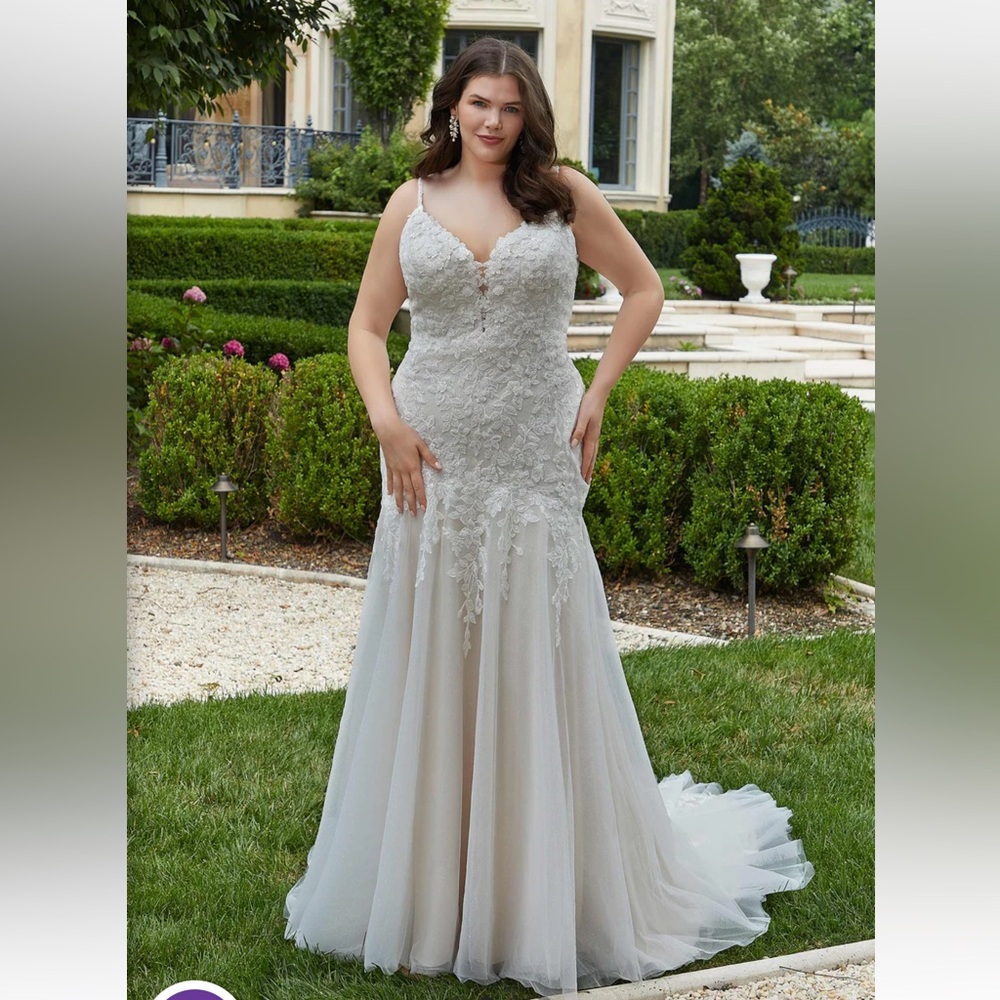 Morilee Nicosia 3424